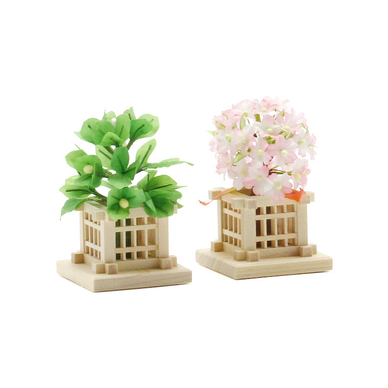 桜橘円 4-102 桜橘 花