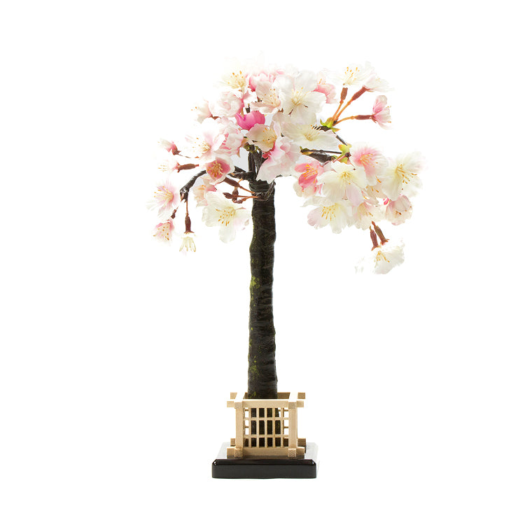 井垣付手まり桜 12号 4-012 井垣付 桜 花