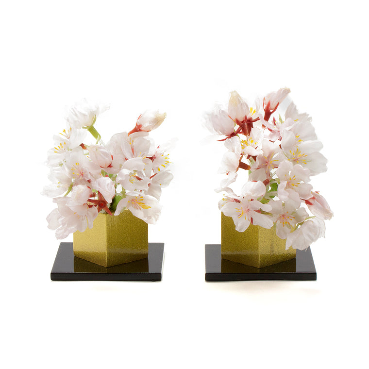 ティアラしだれ桜 小