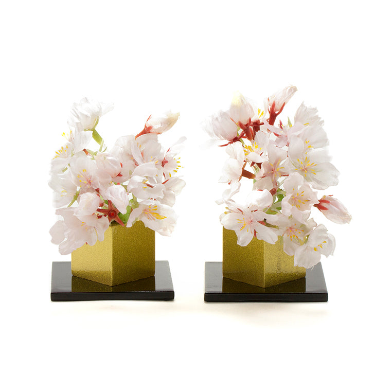ティアラしだれ桜 小