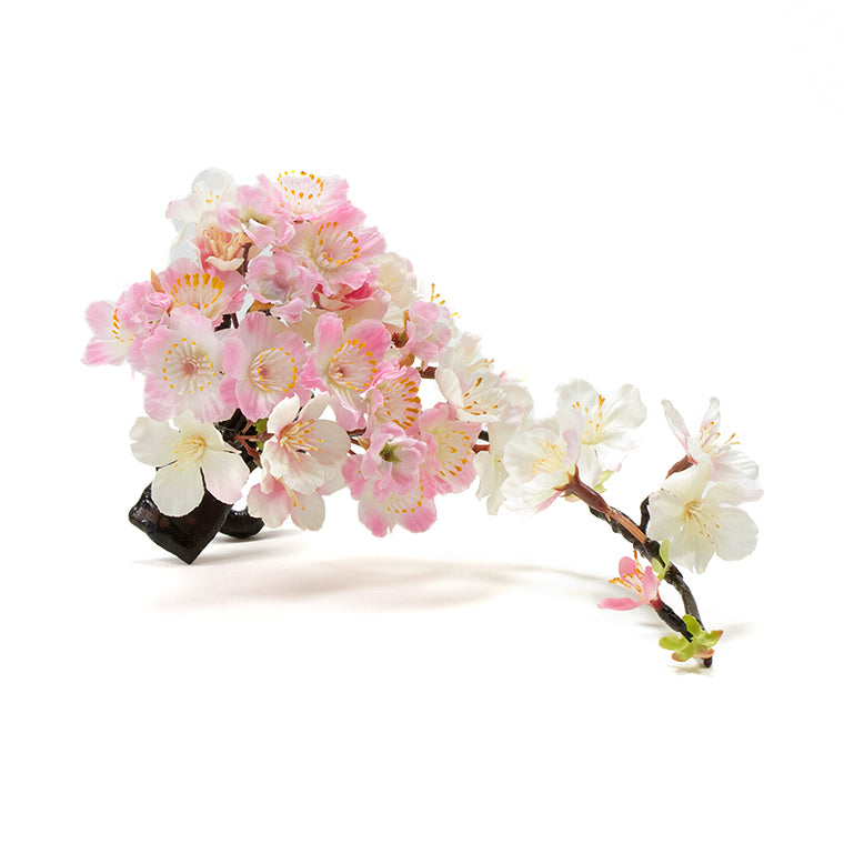 雲桜 U字型 4-017 桜 花